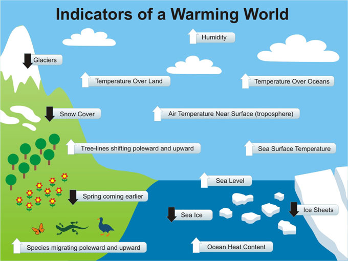 Image result for effects of global warming