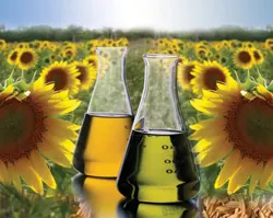 Biomass Energy Fuel biomass energy fuel