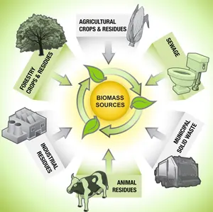 Biomass Resources and Biorenewable Resources