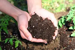 composting turns waste into soil