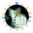 Profile image of aman