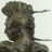 Profile image of Gelt Koopmans