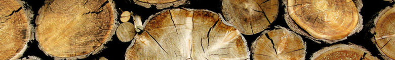 wood image