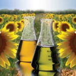 biofuel energy