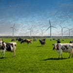 wind power environment