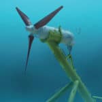 tidal power
