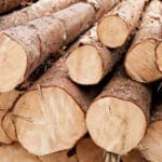 Wood Biomass Energy