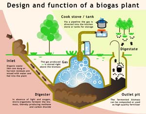 biogas energy cycle