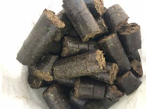 Peat Pellets from Sphagnum Moss