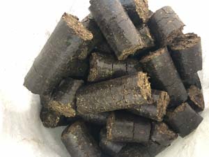 Peat Pellets from Sphagnum Moss Peat Pellets from Sphagnum Moss